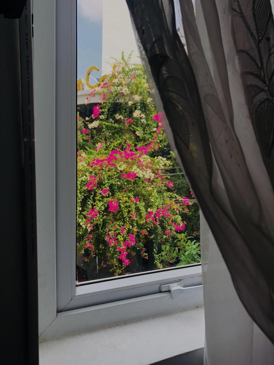 Tuong Van Homestay دا نانغ المظهر الخارجي الصورة